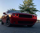 Photo - lifestyle view
