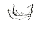Photo - Unmounted